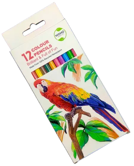 MOMO Coloured Pencils  Stationery My Safari Books