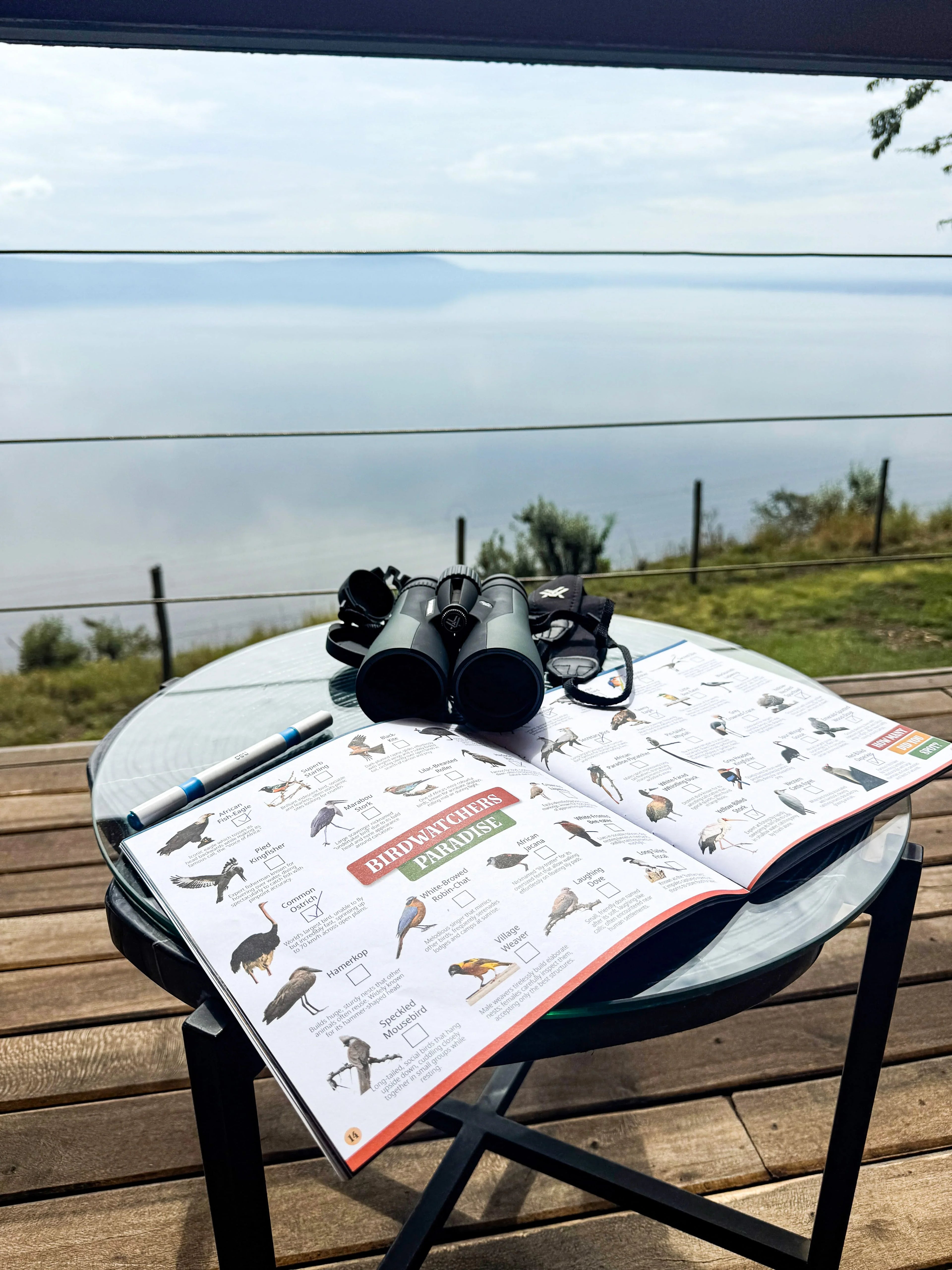 Birdwatching guidebook and binoculars on table overlooking Lake Nakuru